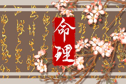 今日日历黄历|日历老黄历|日历表2026年